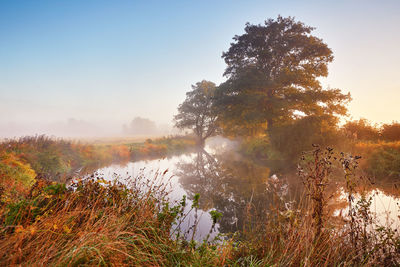 Autumn sunrise rural landscape. fog on river. fall calm morning . alder, willow trees on riverbank