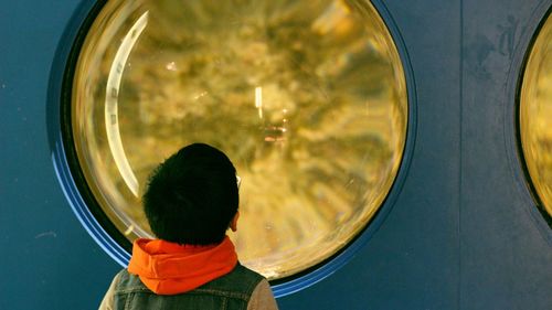 Rear view of boy looking at glass