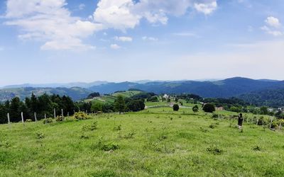 Scenic view of field against sky