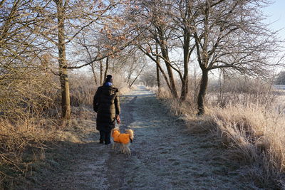 Rear view of man walking in forest