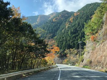 Road amidst trees against sky