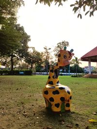 View of horse cart in park