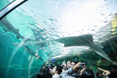 Fish swimming in aquarium