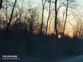 Silhouette of bare trees against sky at sunset