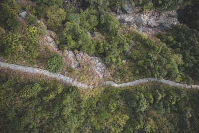 High angle view of waterfall in forest