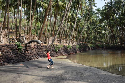 Rear view of man by trees against plants