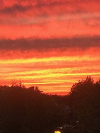 Silhouette trees against dramatic sky during sunset