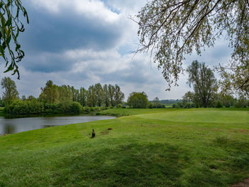 Empty golf course 