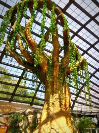 Low angle view of trees