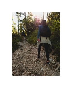 Rear view of man walking in forest