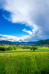 Scenic view of field against cloudy sky