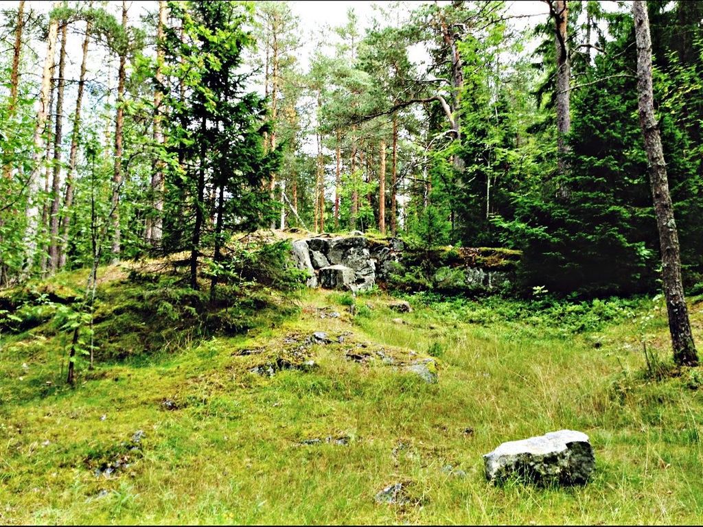 Swedish Nature