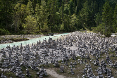 Scenic view of stream in forest