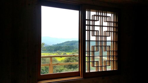 Trees seen through window