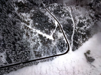 Snow covered plants seen through car windshield