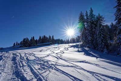 Scenic view of snow covered land against bright sun