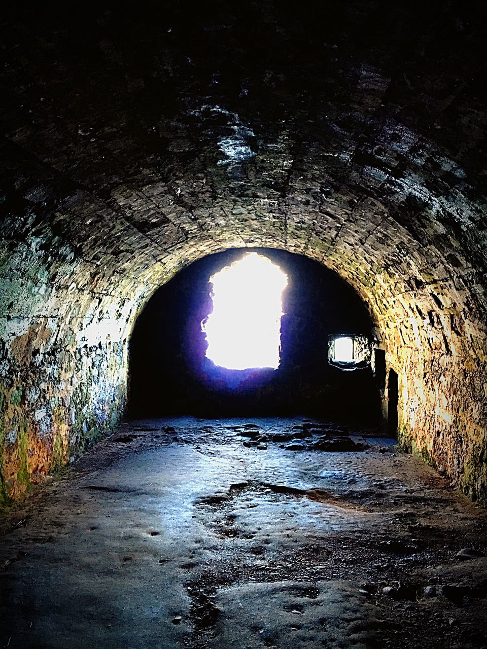 water, sky, no people, nature, indoors, arch, tunnel, beauty in nature, scenics, tree, close-up, architecture, day