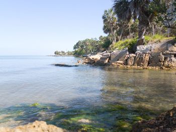 Scenic view of sea against clear sky
