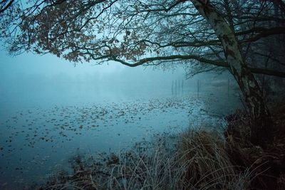 Scenic view of lake against sky during winter