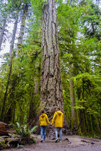 Rear view of man standing in forest