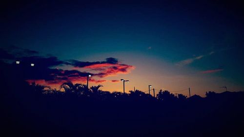 Scenic view of trees against sky at sunset