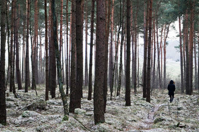 Rear view of woman walking in forest