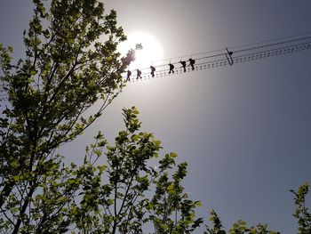 Low angle view of silhouette plants against clear sky