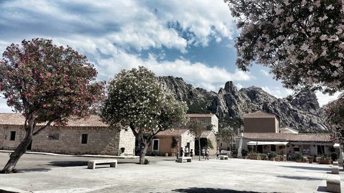 Panoramic view of trees against sky