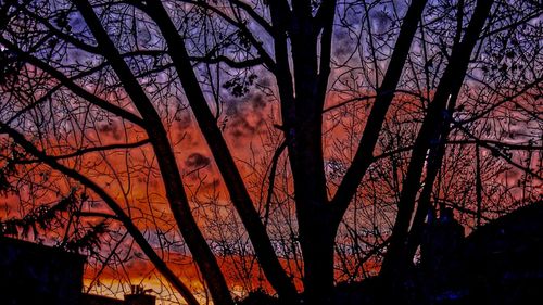 Low angle view of silhouette bare trees in forest