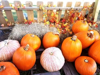 Close-up of pumpkins for sale at market stall