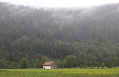 Scenic view of farm against trees