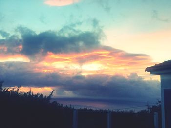 Silhouette of trees against dramatic sky