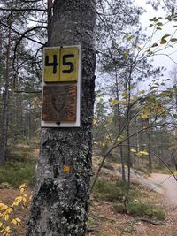 Information sign on tree trunk in forest