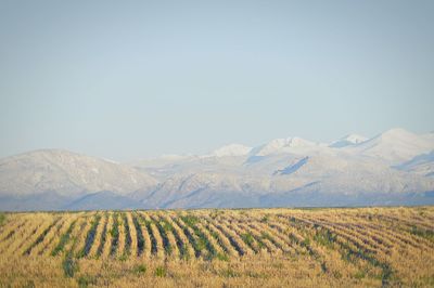 Scenic view of landscape