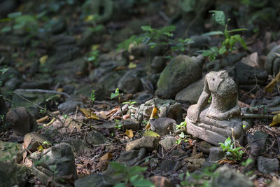 Small sculpture on field