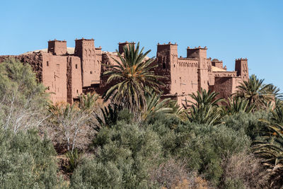 Moroccan kasbah amidst palm trees and other vegetation