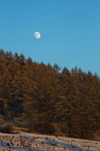 Scenic view of moon against clear sky at night