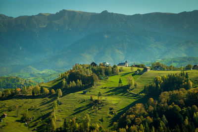 Scenic view of agricultural field