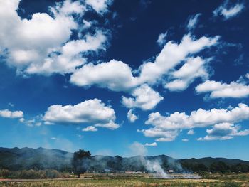 Scenic view of field against sky