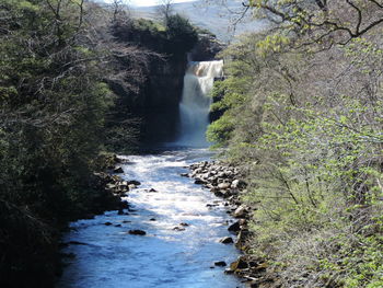 Scenic view of waterfall in forest