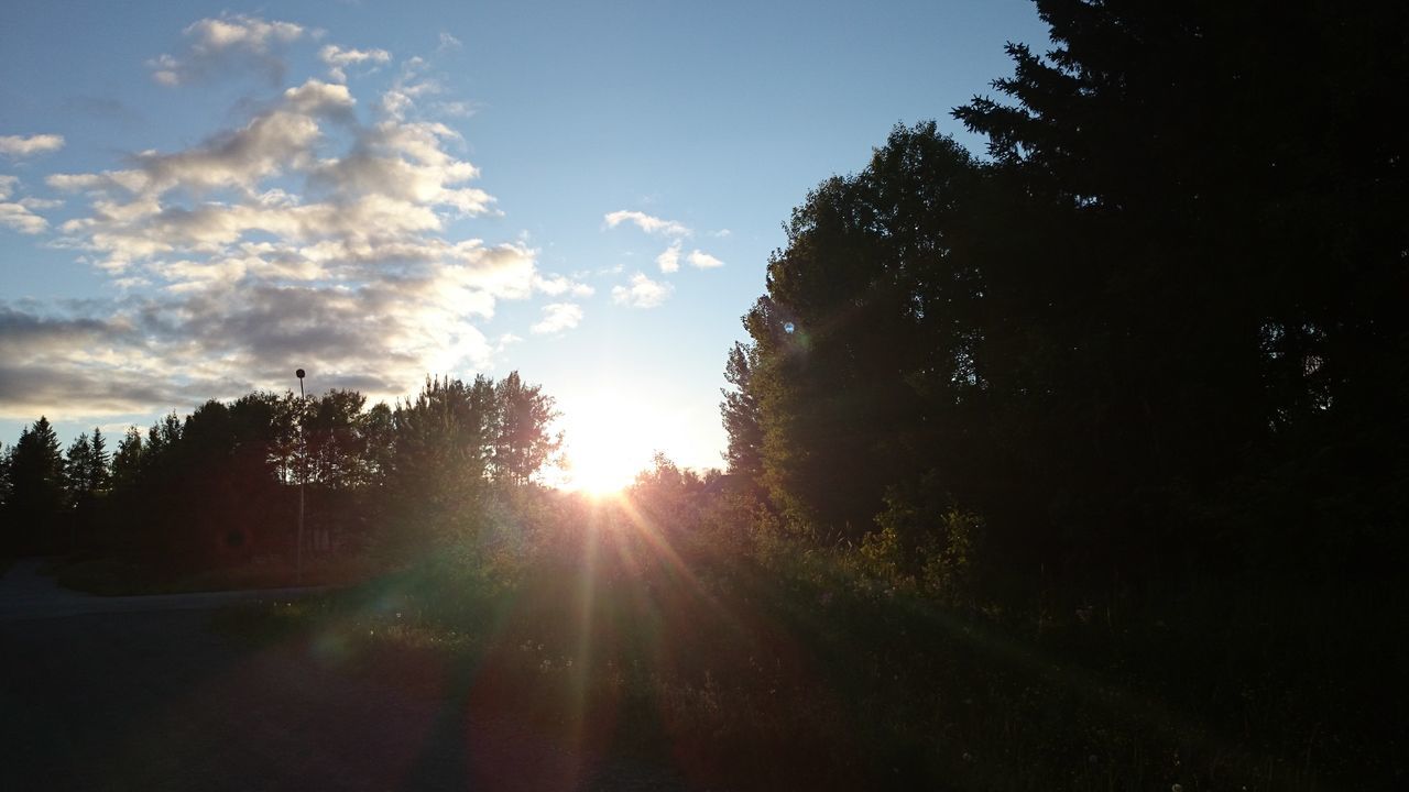 tree, sun, sunbeam, sunlight, sky, tranquility, silhouette, sunset, tranquil scene, lens flare, nature, beauty in nature, scenics, the way forward, growth, landscape, cloud - sky, back lit, outdoors, road