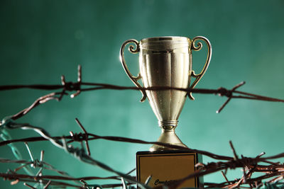 Trophy amidst barbed wire