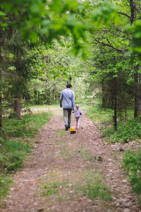 Rear view of man walking on footpath in forest