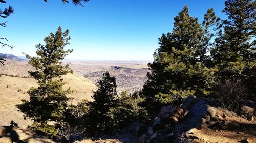 Scenic view of landscape against clear sky