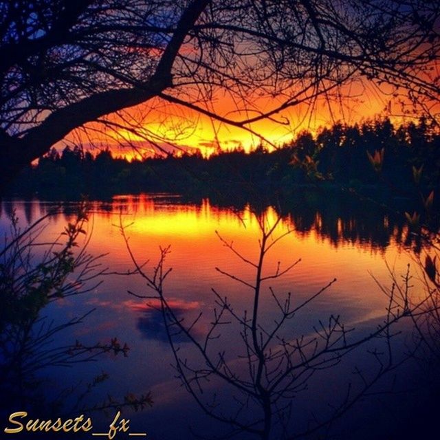 sunset, water, reflection, lake, tree, tranquil scene, tranquility, silhouette, scenics, orange color, beauty in nature, idyllic, nature, branch, bare tree, sky, waterfront, majestic, outdoors, calm