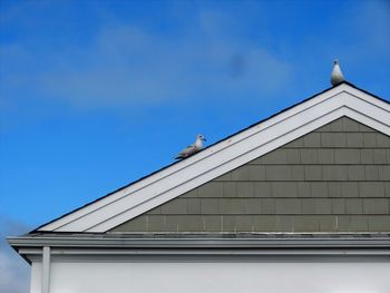 Low angle view of bird on roof against clear blue sky