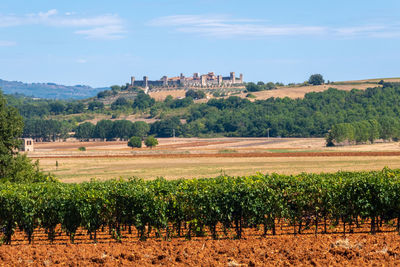 Landscape with skyline of little town of monteriggioni, tuscany, along via francigena