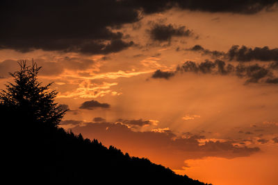 Silhouette trees against sky during sunset