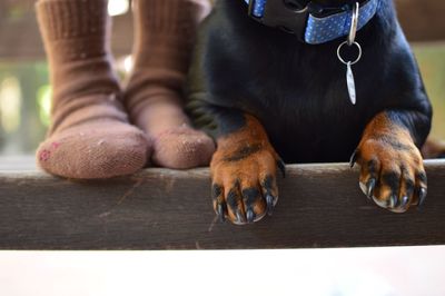 Low section of man with dog