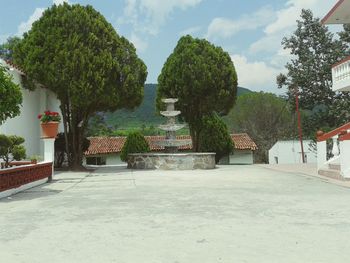 Trees and houses against sky